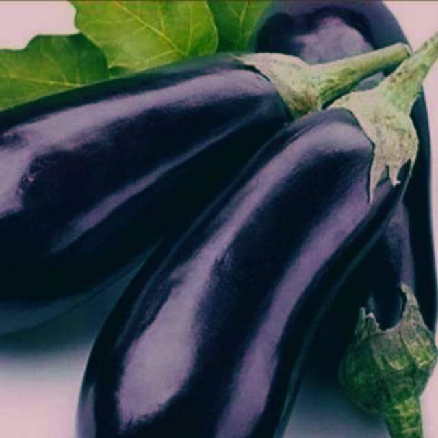 

Terong Ungu (Per 500 gram)