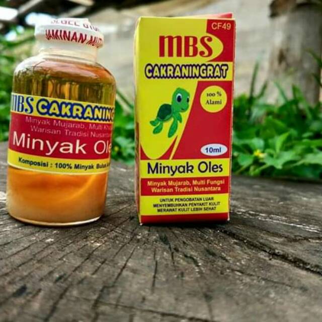 MBS CAKRANINGRAT MADURA MINYAK BULUS ORIGINAL MADURA