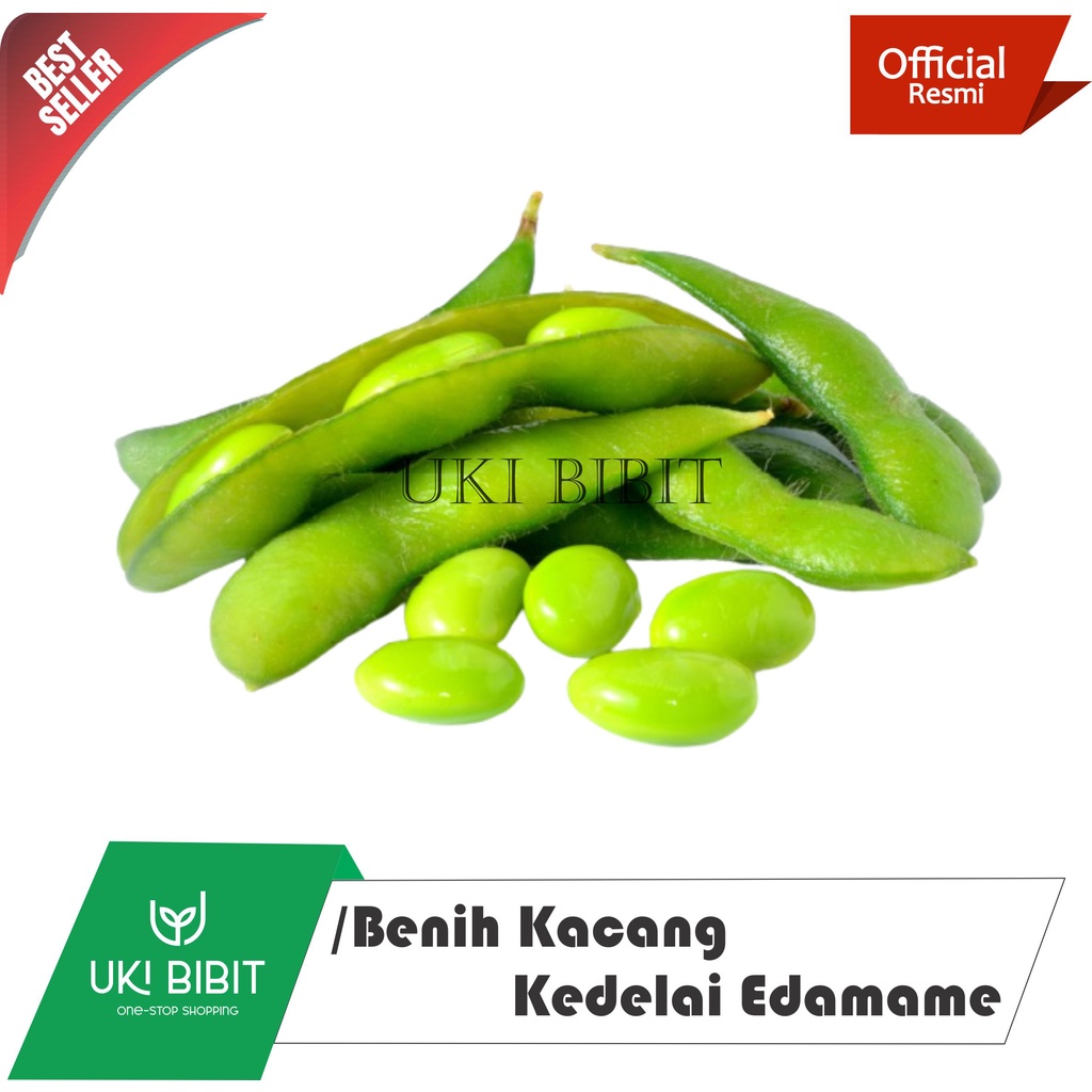 ( 1 Kg ) Benih Biji Edamame | Kacang Kedelai Jepang | Glycine Max