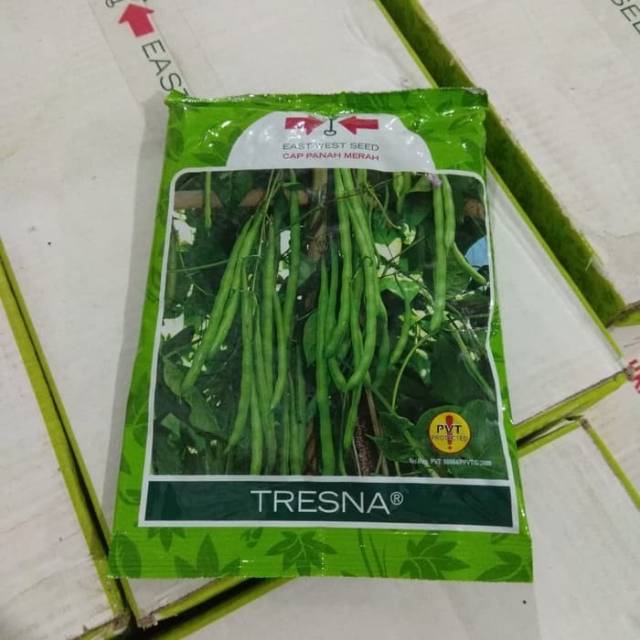 Bibit buncis/Benih Buncis TRESNA @ 500 gr