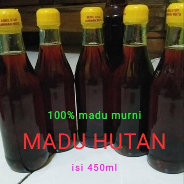 

MADU HUTAN (Lebah Liar)