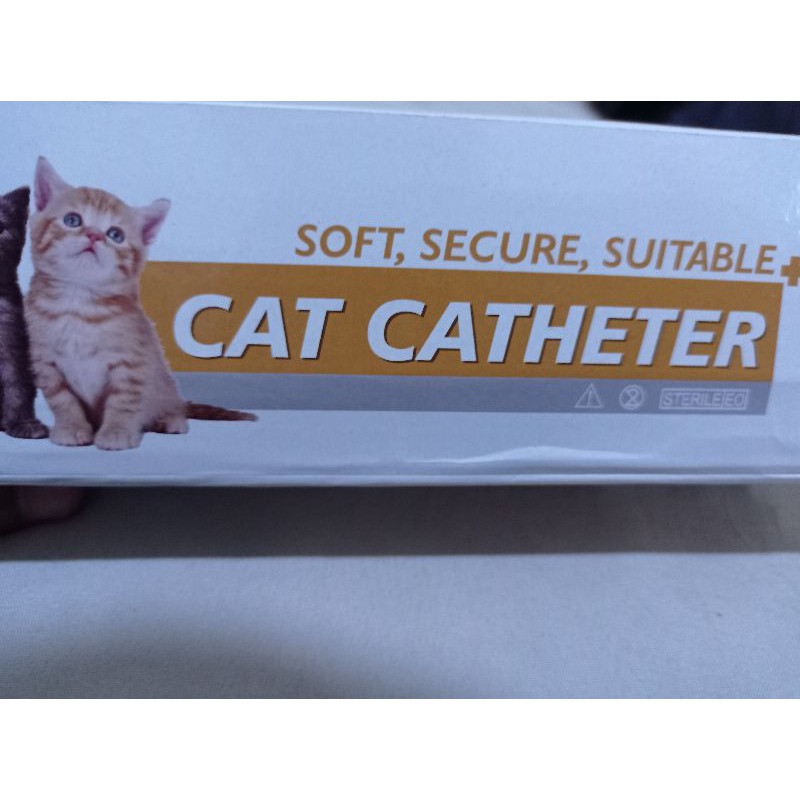 catheter urine for male cat