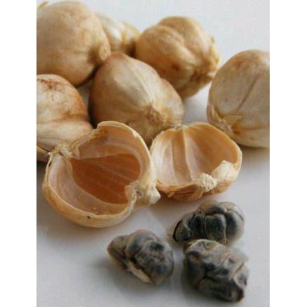

Ready Kapulaga kering cardamon bersih 1kg