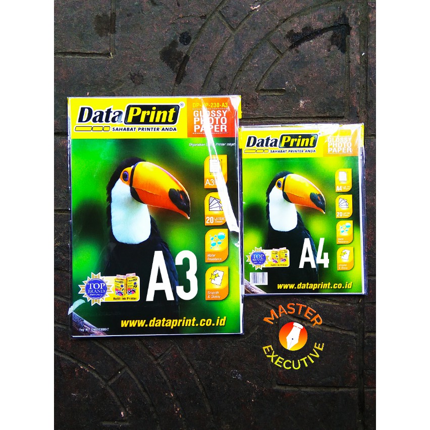 [Pak - 20 Lembar] Data Print Glossy Photo Paper 230 gsm A3 / DP-GP-230-A3 Dataprint