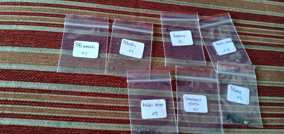 Sd26/3 - Benih Biji Bibit Unggul Kemasan Seribu Bayam Baby Baby Spinach Emilia F1 Import