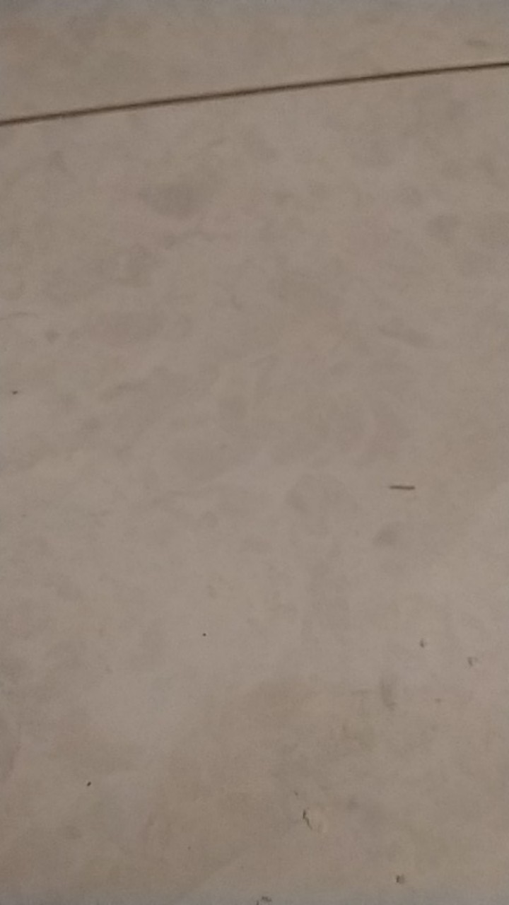 Tangga Lipat Caltex / Tangga Lipat / Tangga Lipat Queen Aluminium / Tangga Caltex /tangga 1,5 Dan 2m