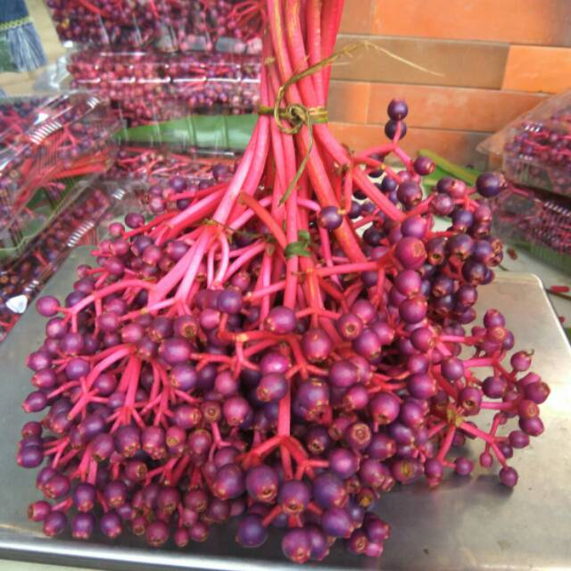 

Buah parijoto