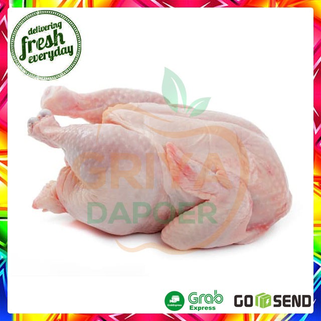 

AYAM NEGERI - PER EKOR