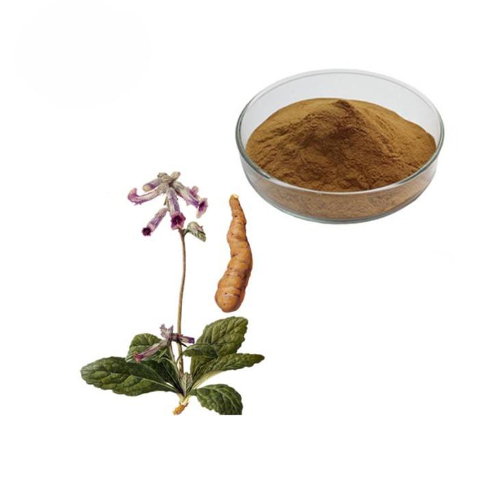 

RADIX REHMANNIAE EXTRACT POWDER AKAR REHMANNIAE BUBUK 50GR