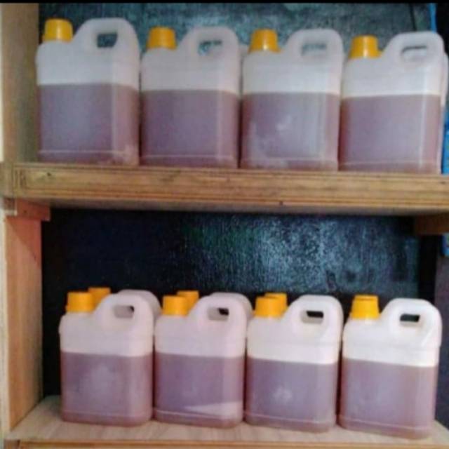 

Madu Asli Kapuas Hulu/Kalimantan barat