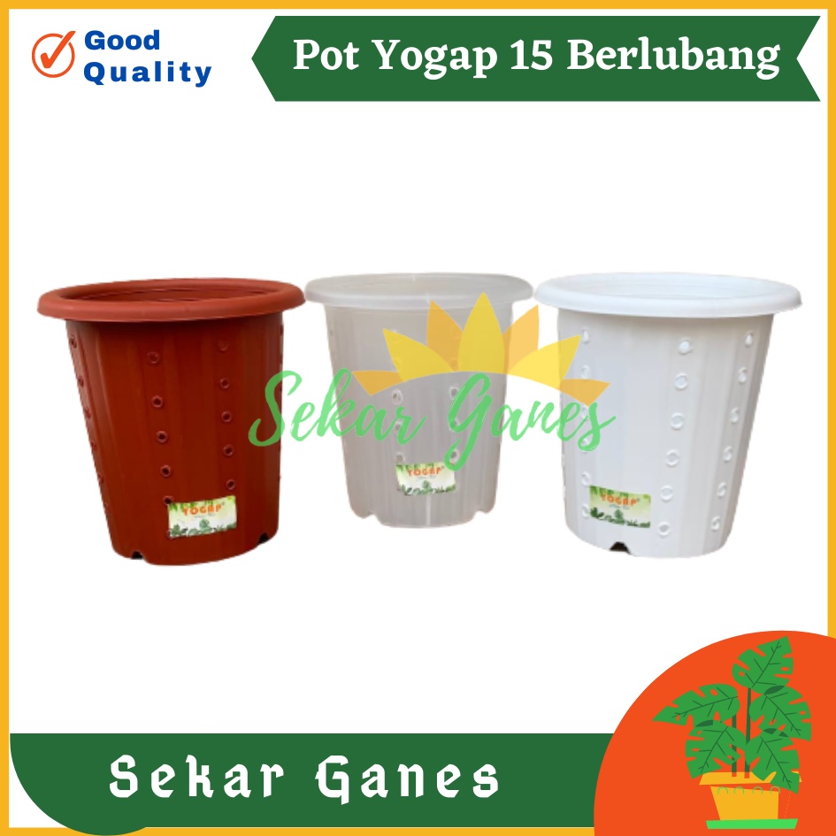 Sekarganes Pot Yogap 15 Putih Bening Transparan Merah Bata Merah Coklat Terracota Terracotta Berlubang Termurah