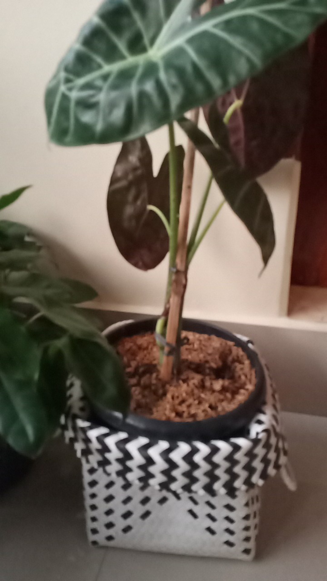 Keranjang Belanja / Tas Belanja / Keranjang Anyaman Plastik / Tas Kerajinan E05