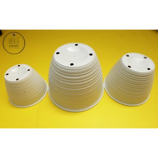 Paket lengkap mini sukulen pot tawon terrarium Paket lengkap mini sukulen pot tawon terrarium