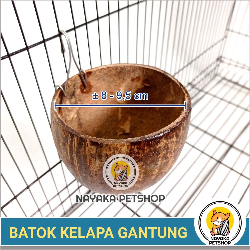 Batok Kelapa Sleeping Pouch Sugar Glider Hanging Pouch Tempurung Gantung Tempat Pakan Minum Hewan