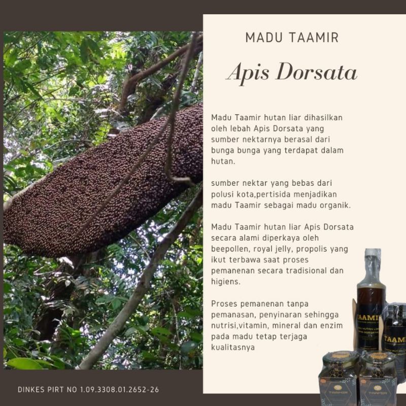 

MADU TAAMIR APIS DORSATA
