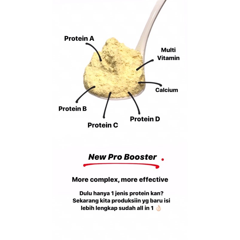 PRO BOOSTER 50gr VITAMIN SUGAR GLIDER MAKANAN SUGAR GLIDER PROTEIN BOOSTER PROBOOSTER