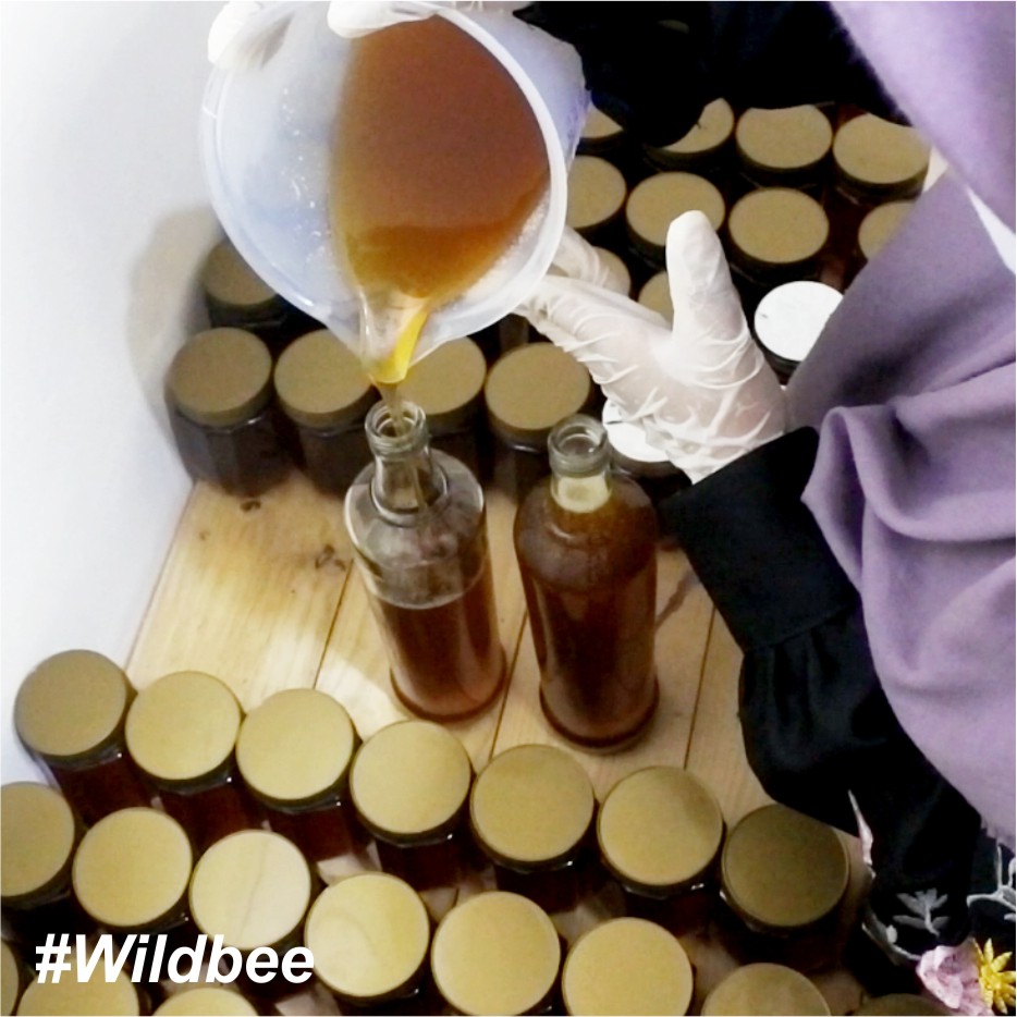 Madu Klanceng Bambu / Lebah Apis Trigona Wild Bee