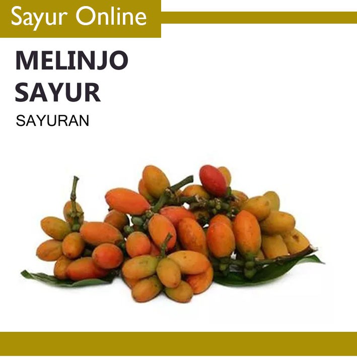 

[SayurOnline] MELINJO SAYUR [50g, 1 Bungkus]