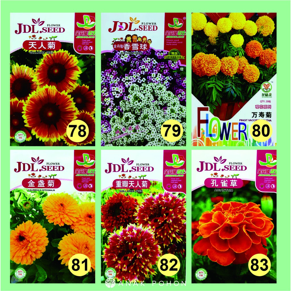 Benih Aneka Bunga Flower JDL Seed Retail Pack - Tipe C