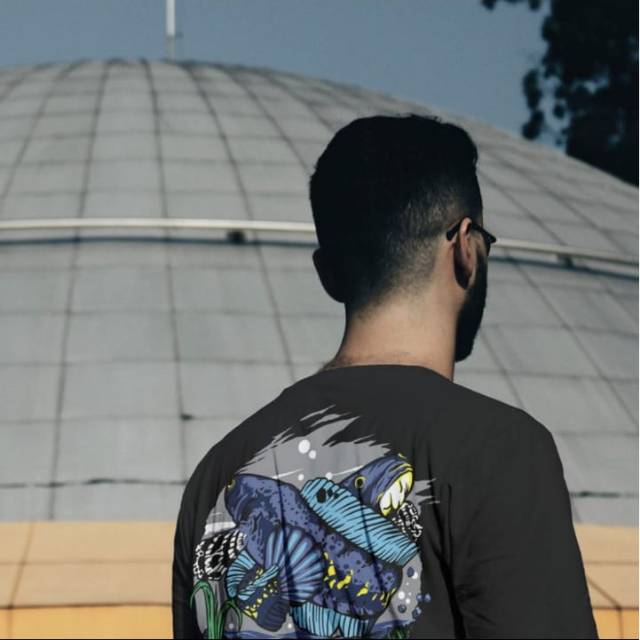 Kaos snakehead channa pulchra