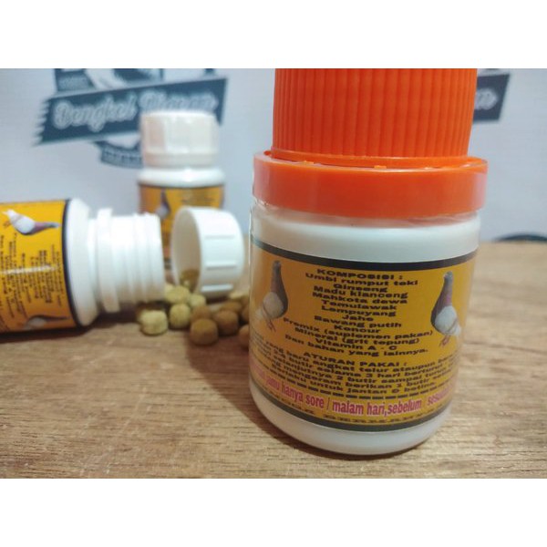 jamu vitamin doping obat giring burung merpati dara lomba balap kolongan tomprang pos new royal