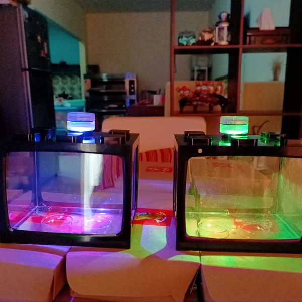 REAL Akuarium Mini Ikan Cupang Hias + Lampu LED LEGO Aquarium Portable