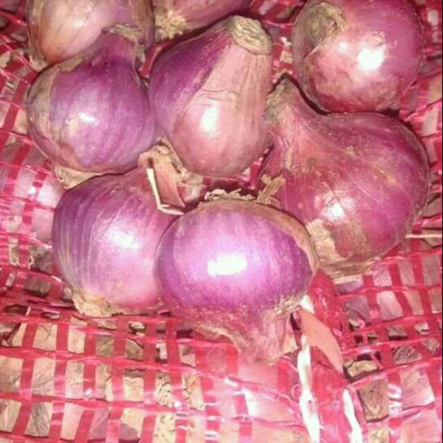 

Bawang merah asli lokal