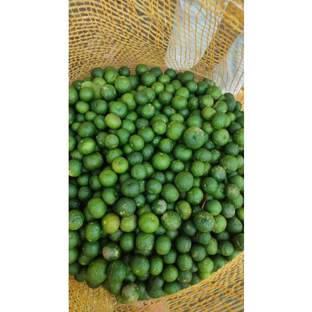 

jeruk limau kecil 1kg
