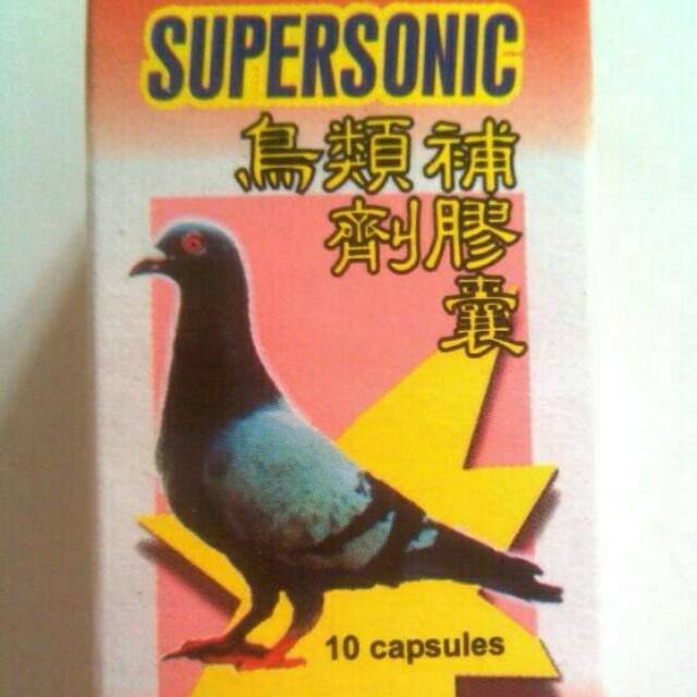 Supersonic Penambahan Nafas Dan Tenaga Khusus Burung Merpati Balap