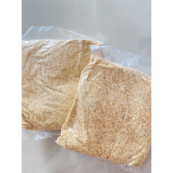 Pakan Burung Kenari Milet Putih Lovebird 500gr Vacuum