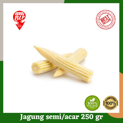 

Jagung Semi/Acar Segar 250 gr Berkah Lumbung Pangan