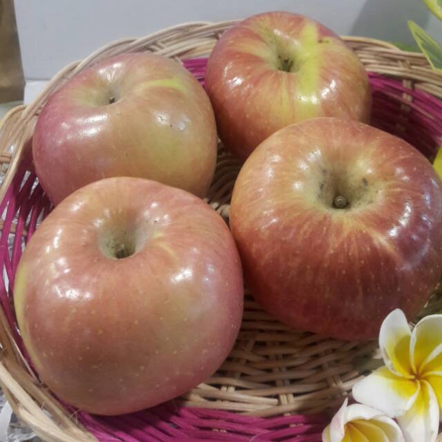 

APEL FUJI Enjoy dan TTY