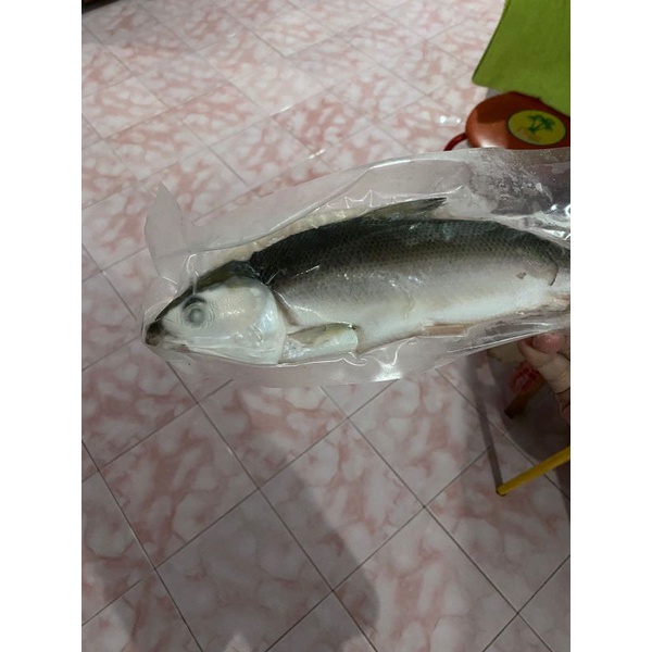 

Bandeng Tanpa Duri