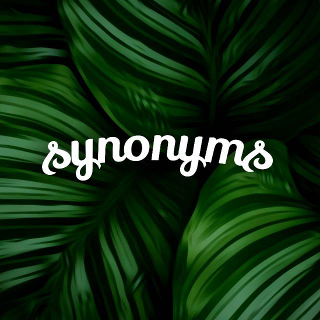 synonyms.id