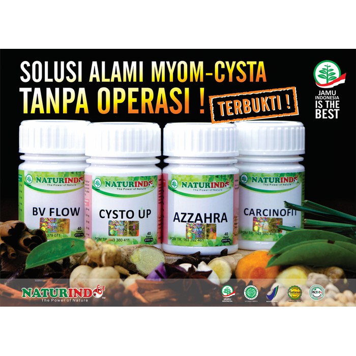 

OBAT HERBAL KISTA MIYOM, KISTA MIYOM TANPA OPRASI, OBAT KANGKER KISTA MIYOM NATURINDO BISA COD