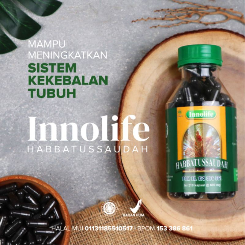 INNOLIFE HABBATUSSAUDA ISI 210 KAPSUL SERBUK | Shopee Indonesia