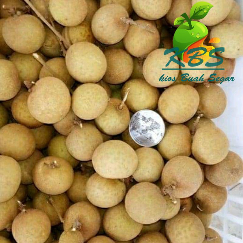 

Buah Lengkeng Manis (1kg)