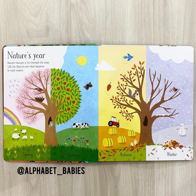 Usborne Lift The Flap Nature