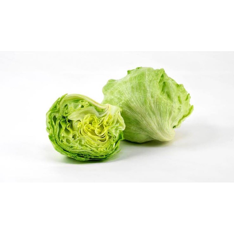 

Lettuce iceberg