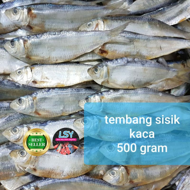 

ikan asin tembang sisik kaca 500gr