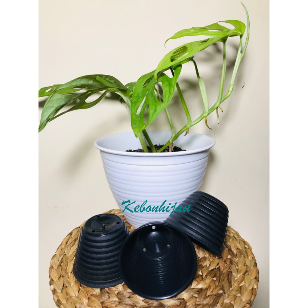 Pot Pot Tawon 8 cm Hitam / Pot Tawon Hitam 8 / Pot Tawon / Pot Hitam / Pot Kecil / Pot Sukelen