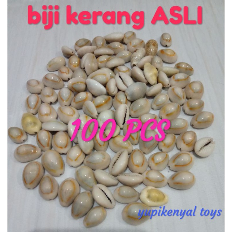 BIJI KERANG ASLI 100 PCS BIJI CONGKLAK KERANG ASLI