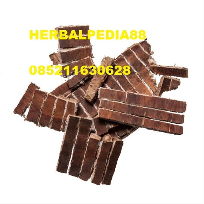 

Du Zhong Eucommia Bark 600 Gram