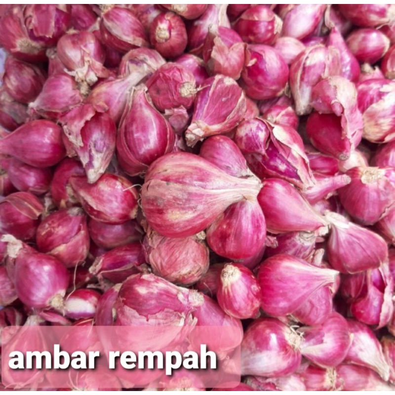 

Bawang merah brebes 500gram. (Promo)