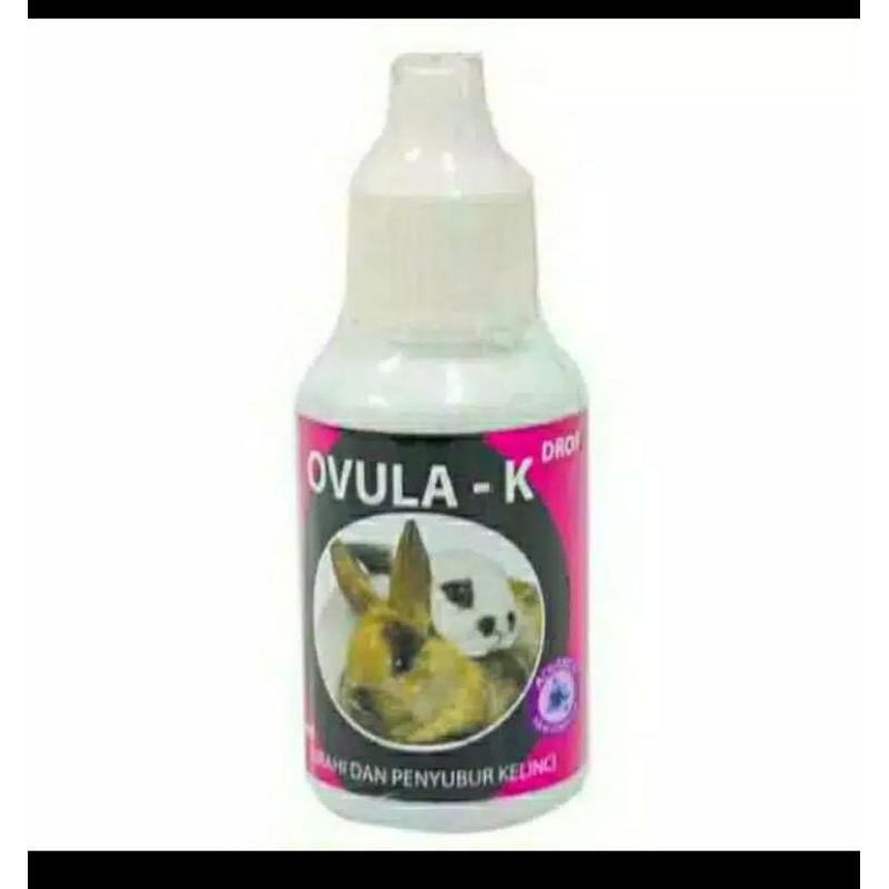 ovula k