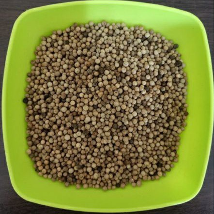 

Lada 500 gram / Lada Butir 500 gram - MEGA KEMIRI