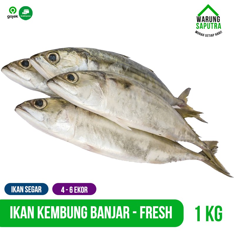 Jual Ikan Kembung Banjar Mati Segar Utuh 1 Kg Shopee Indonesia