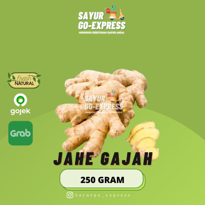 

Jahe Gajah Segar 250gr