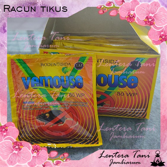 Racun tikus bubuk Vemouse 20 gr mati kering