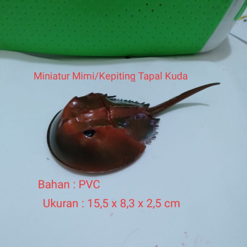 Miniatur Kepiting Ladam Miniatur Mimi Belangkas
